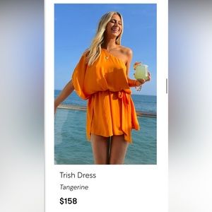 Trish Dress Show Me Your MuMu